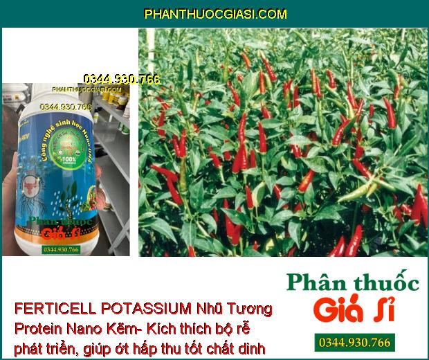 FERTICELL POTASSIUM Nhũ Tương Protein Nano Kẽm- Kích Rễ- Phân Hóa Mầm Hoa