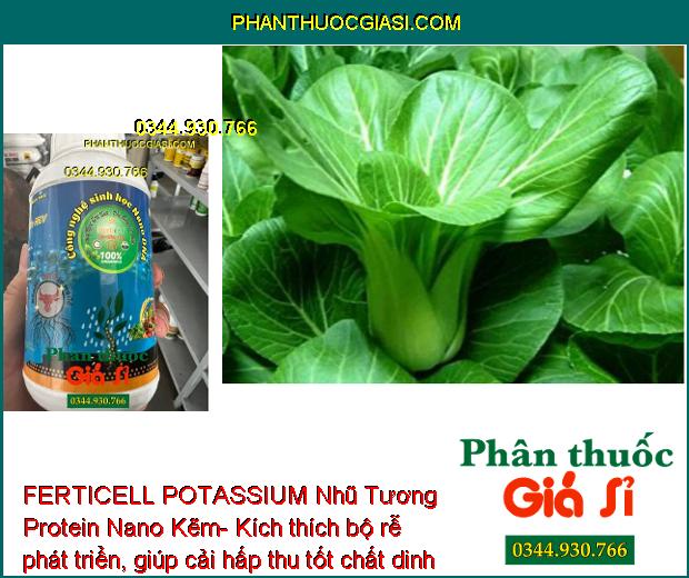 FERTICELL POTASSIUM Nhũ Tương Protein Nano Kẽm- Kích Rễ- Phân Hóa Mầm Hoa