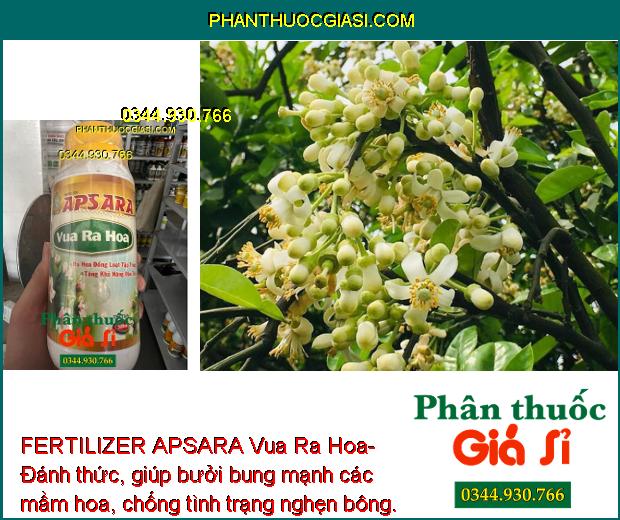 FERTILIZER APSARA Vua Ra Hoa- Ra Hoa Đồng Loạt- Tăng  Đậu Trái