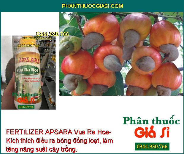 FERTILIZER APSARA Vua Ra Hoa- Ra Hoa Đồng Loạt- Tăng  Đậu Trái