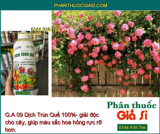 G.A 09 Dịch Trùn Quế 100%- Bộ Rễ Khỏe Mạnh - Cây Phát Triển Nhanh.