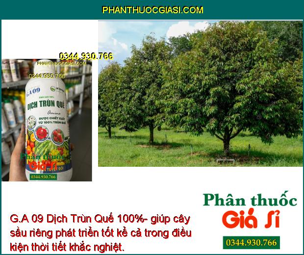 G.A 09 Dịch Trùn Quế 100%- Bộ Rễ Khỏe Mạnh - Cây Phát Triển Nhanh.