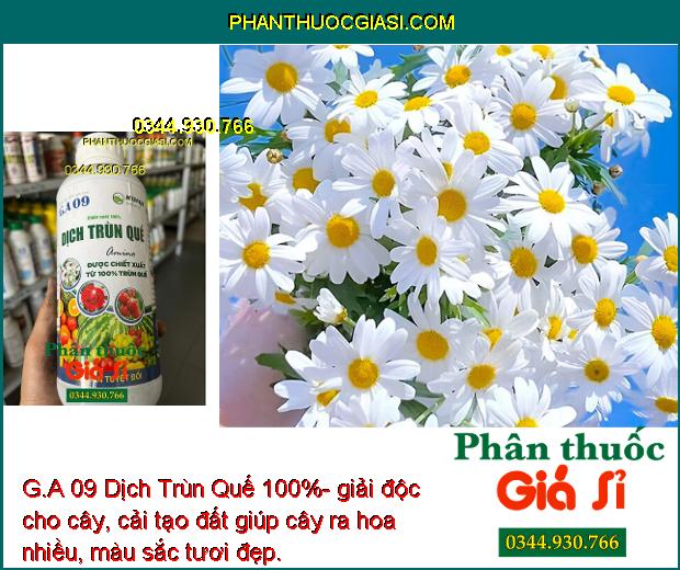 G.A 09 Dịch Trùn Quế 100%- Bộ Rễ Khỏe Mạnh - Cây Phát Triển Nhanh.