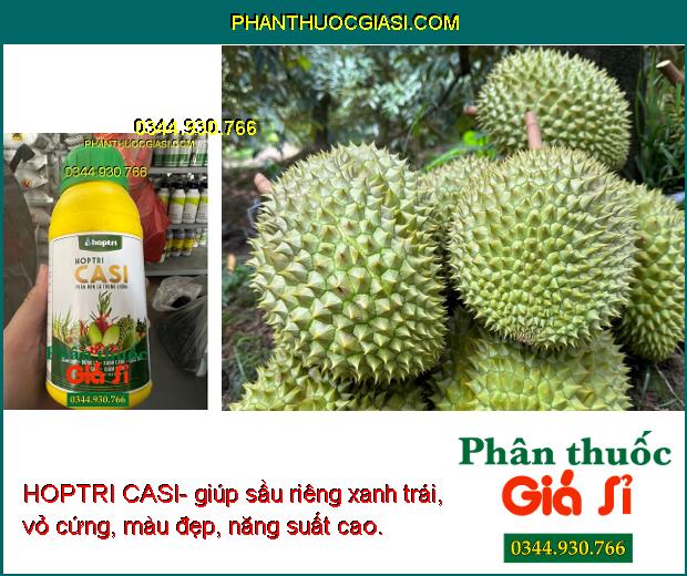 HOPTRI CASI- Cứng Cây- Xanh Lá- Tăng Sức Đề Kháng