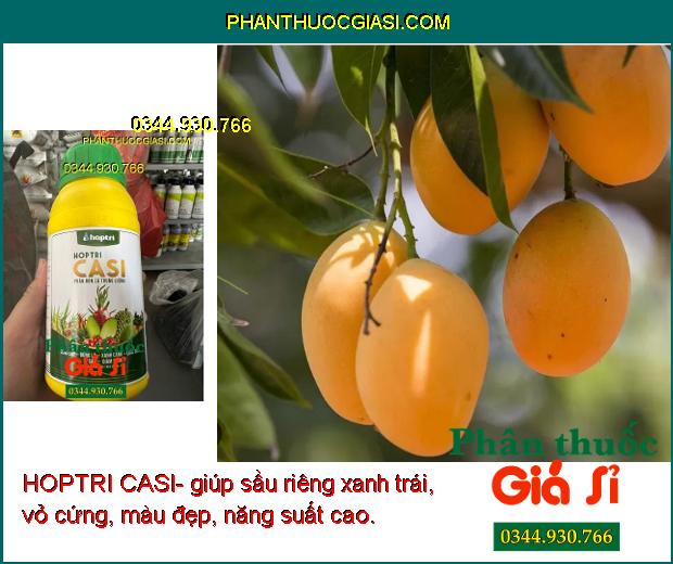 HOPTRI CASI- Cứng Cây- Xanh Lá- Tăng Sức Đề Kháng