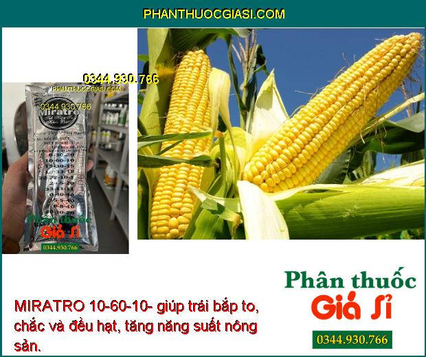 MIRATRO 10-60-10- Bung Hoa Đồng Loạt- Chống Rụng Hoa