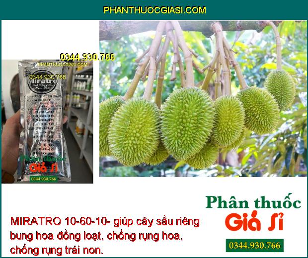 MIRATRO 10-60-10- Bung Hoa Đồng Loạt- Chống Rụng Hoa