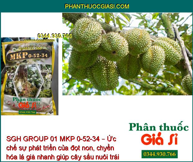 SGH GROUP 01 MKP 0-52-34 – Phân Hóa Mầm Hoa- Nuôi Trái