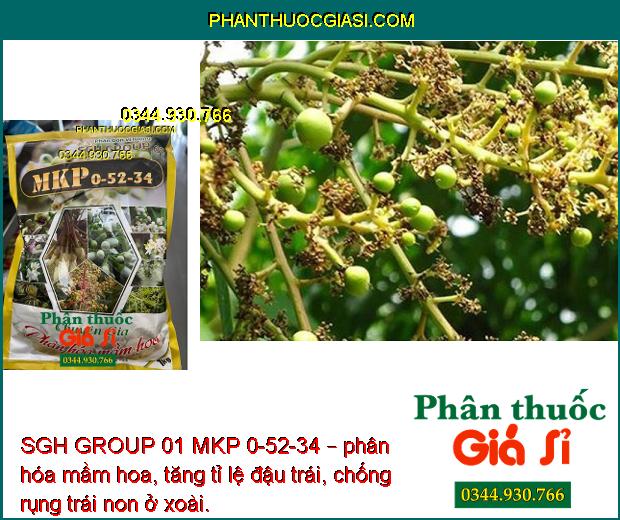 SGH GROUP 01 MKP 0-52-34 – Phân Hóa Mầm Hoa- Nuôi Trái