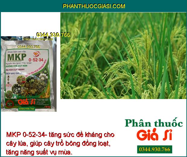 MKP 0-52-34- Phân Hóa Mần Hoa- Tăng Đậu Trái