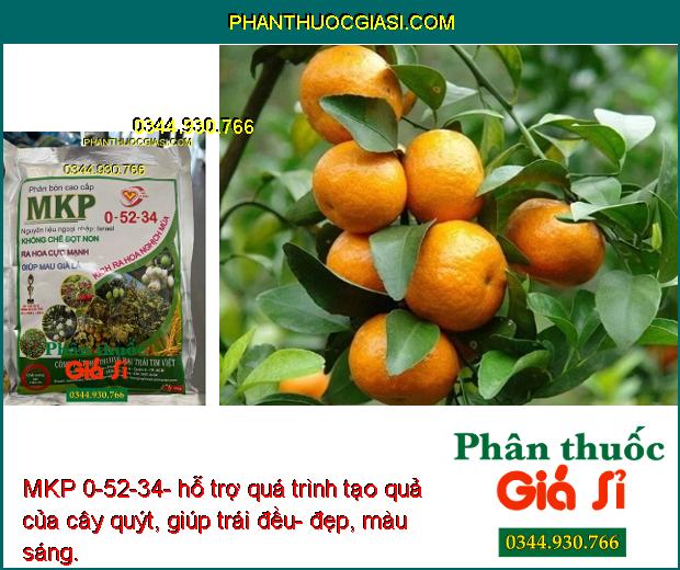 MKP 0-52-34- Phân Hóa Mần Hoa- Tăng Đậu Trái