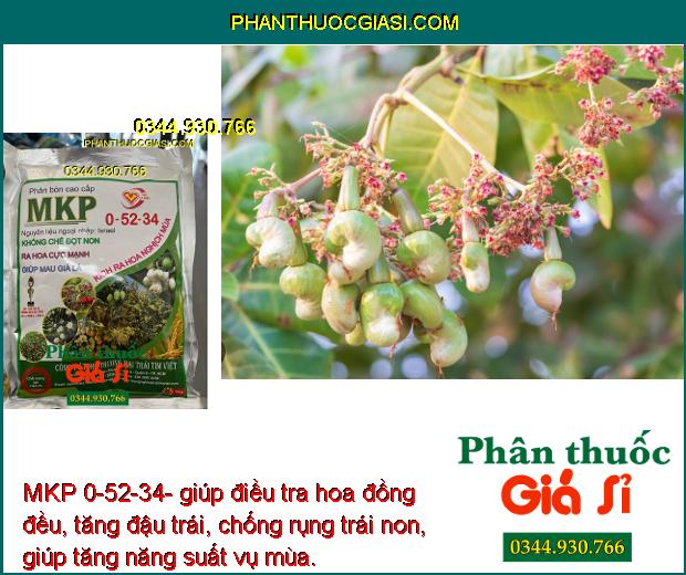 MKP 0-52-34- Phân Hóa Mần Hoa- Tăng Đậu Trái