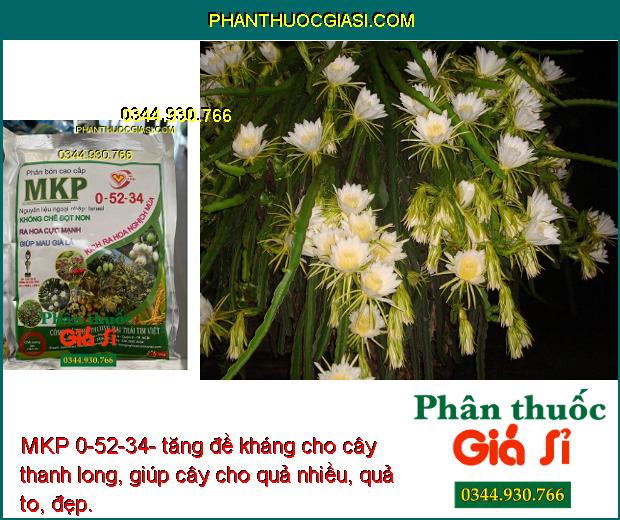 MKP 0-52-34- Phân Hóa Mần Hoa- Tăng Đậu Trái