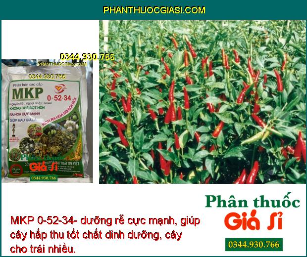 MKP 0-52-34- Phân Hóa Mần Hoa- Tăng Đậu Trái