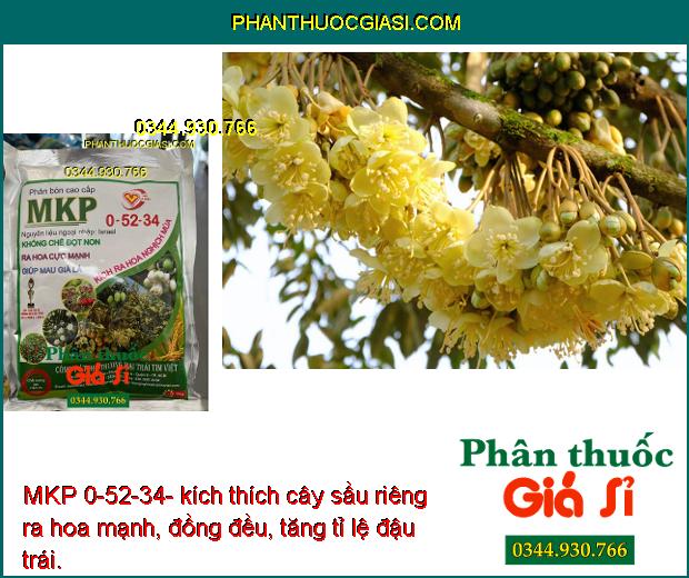 MKP 0-52-34- Phân Hóa Mần Hoa- Tăng Đậu Trái