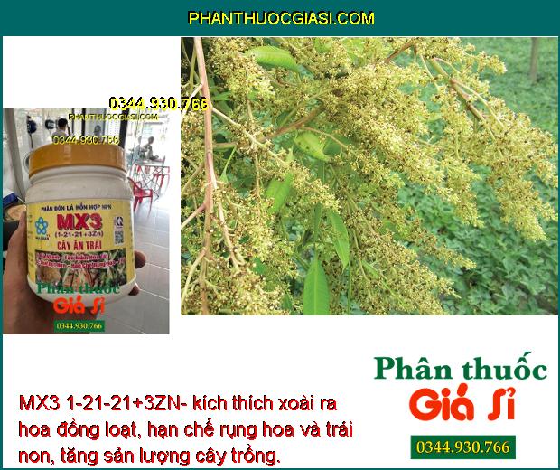 MX3 1-21-21+3ZN- Phân Bón Lá Chuyên Tạo Mầm Hoa