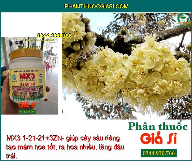 MX3 1-21-21+3ZN- Phân Bón Lá Chuyên Tạo Mầm Hoa