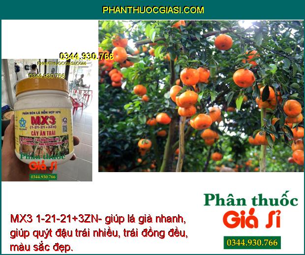 MX3 1-21-21+3ZN- Phân Bón Lá Chuyên Tạo Mầm Hoa