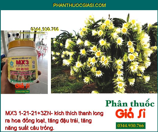 MX3 1-21-21+3ZN- Phân Bón Lá Chuyên Tạo Mầm Hoa