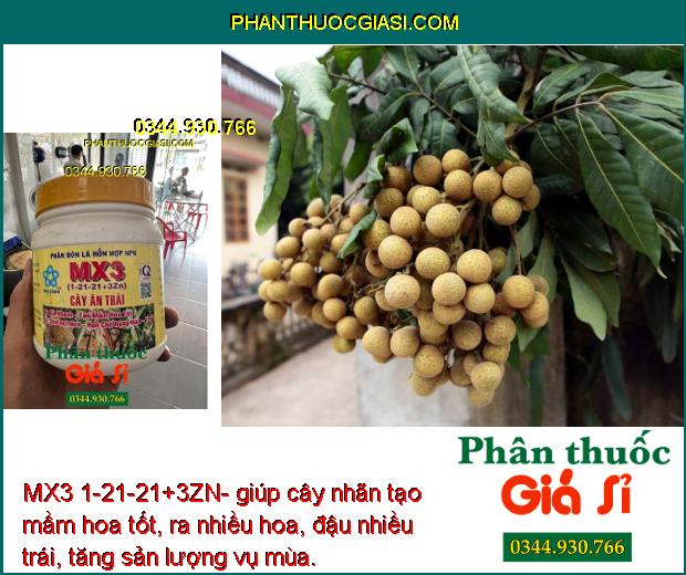 MX3 1-21-21+3ZN- Phân Bón Lá Chuyên Tạo Mầm Hoa