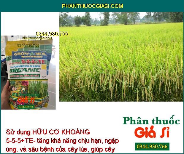 HỮU CƠ KHOÁNG 5-5-5+TE- Cây Xanh Tốt- Ra Hoa Nhiều 