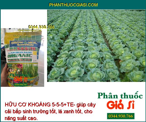 HỮU CƠ KHOÁNG 5-5-5+TE- Cây Xanh Tốt- Ra Hoa Nhiều 