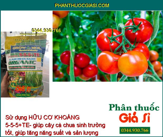 HỮU CƠ KHOÁNG 5-5-5+TE- Cây Xanh Tốt- Ra Hoa Nhiều 