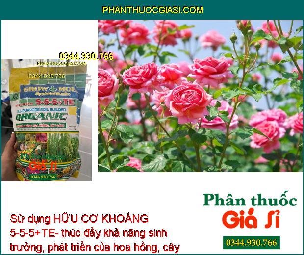 HỮU CƠ KHOÁNG 5-5-5+TE- Cây Xanh Tốt- Ra Hoa Nhiều 