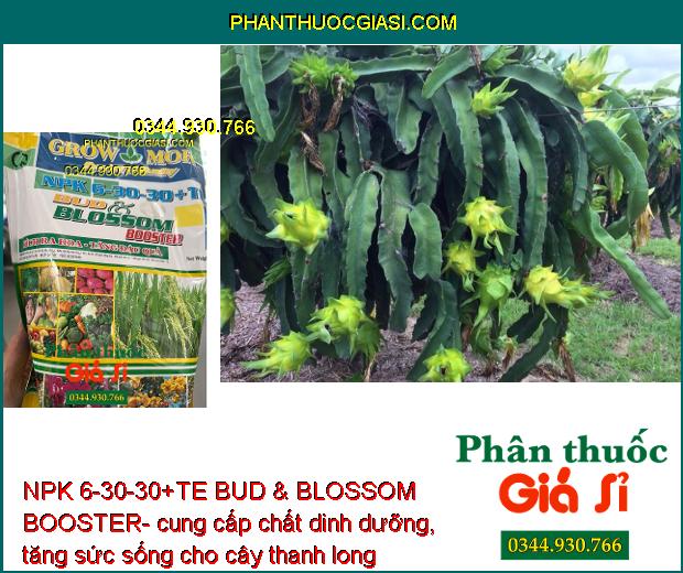 NPK 6-30-30+TE BUD & BLOSSOM BOOSTER- Đâm Chồi- Đẻ Nhánh