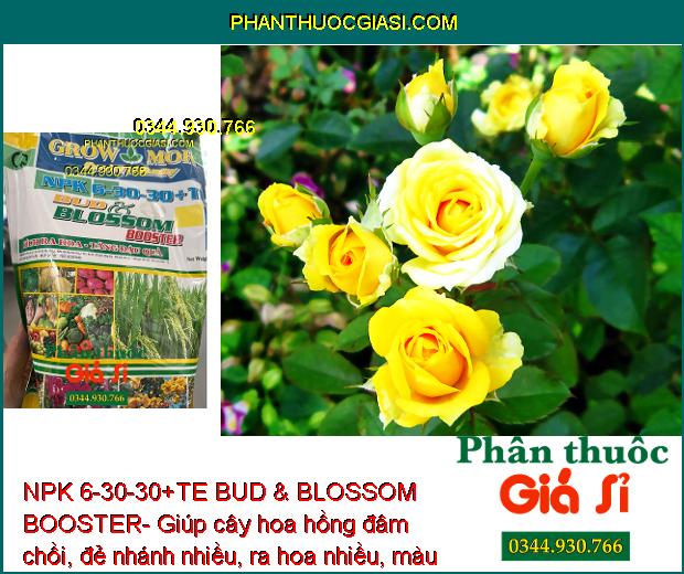 NPK 6-30-30+TE BUD & BLOSSOM BOOSTER- Đâm Chồi- Đẻ Nhánh