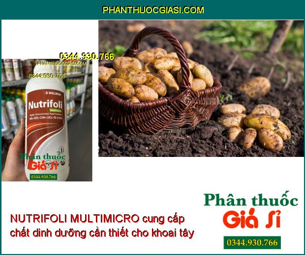 NUTRIFOLI MULTIMICRO – Ngăn Ngừa Thiếu Dinh Dưỡng Vi Lượng ở Cây Trồng