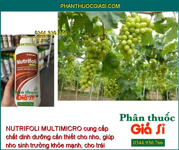 NUTRIFOLI MULTIMICRO – Ngăn Ngừa Thiếu Dinh Dưỡng Vi Lượng ở Cây Trồng