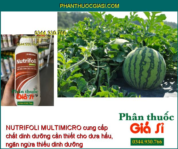 NUTRIFOLI MULTIMICRO – Ngăn Ngừa Thiếu Dinh Dưỡng Vi Lượng ở Cây Trồng