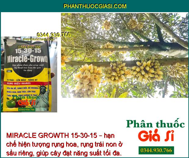 MIRACLE GROWTH 15-30-15 – To Trái- Nặng Ký- Đẹp Màu