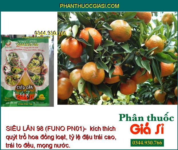 SIÊU LÂN 98 (FUNO PN01)- Tạo Mầm Hoa Đồng Loạt- Tạo Hoa Nghịch Mùa
