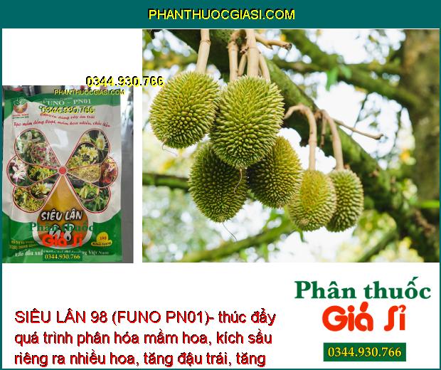 SIÊU LÂN 98 (FUNO PN01)- Tạo Mầm Hoa Đồng Loạt- Tạo Hoa Nghịch Mùa
