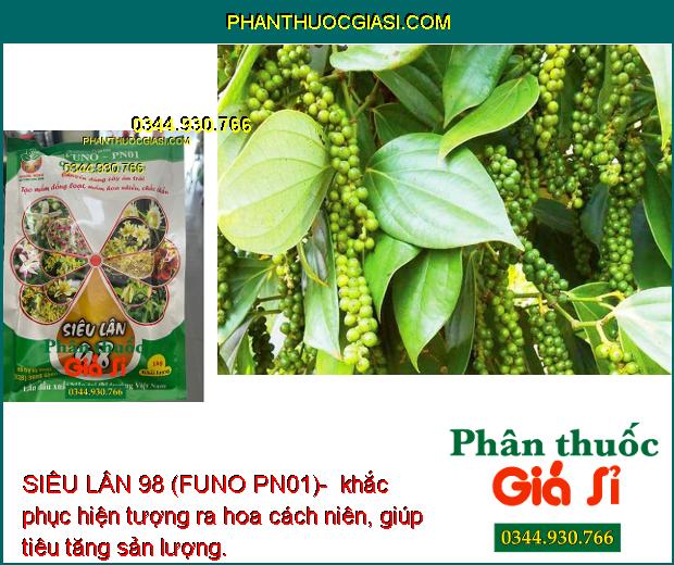 SIÊU LÂN 98 (FUNO PN01)- Tạo Mầm Hoa Đồng Loạt- Tạo Hoa Nghịch Mùa
