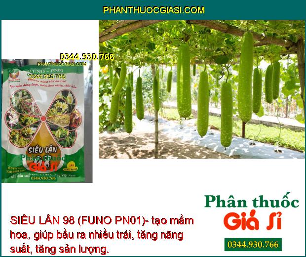 SIÊU LÂN 98 (FUNO PN01)- Tạo Mầm Hoa Đồng Loạt- Tạo Hoa Nghịch Mùa
