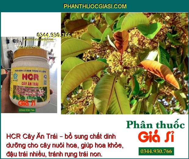 HCR Cây Ăn Trái – Tăng Đậu Trái- Ngăn Rụng Hoa- Rụng Trái