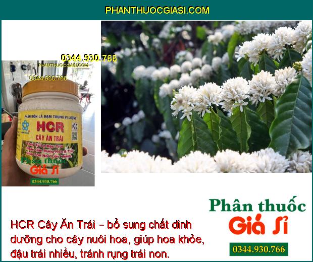 HCR Cây Ăn Trái – Tăng Đậu Trái- Ngăn Rụng Hoa- Rụng Trái