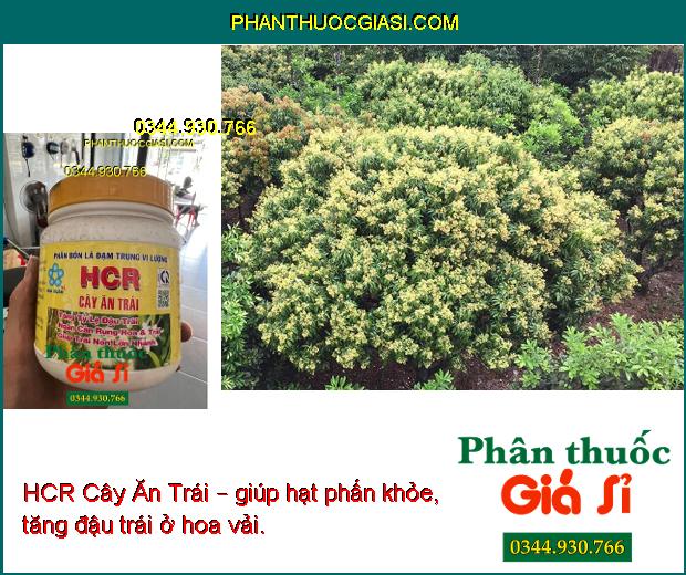 HCR Cây Ăn Trái – Tăng Đậu Trái- Ngăn Rụng Hoa- Rụng Trái