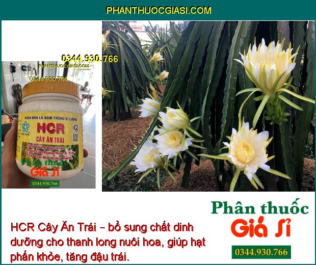 HCR Cây Ăn Trái – Tăng Đậu Trái- Ngăn Rụng Hoa- Rụng Trái