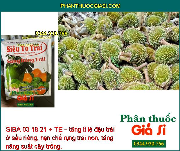 SIBA 03 18 21 + TE – Tăng Đề Kháng- Kích Thích Trái Lớn Nhanh