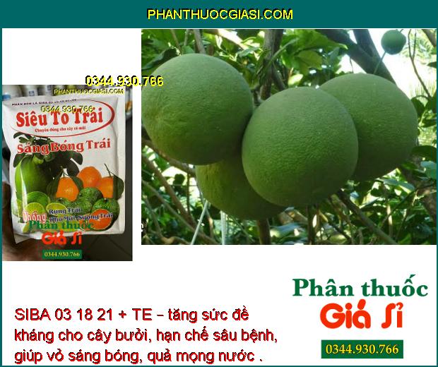 SIBA 03 18 21 + TE – Tăng Đề Kháng- Kích Thích Trái Lớn Nhanh