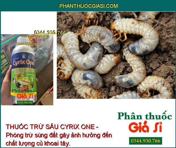 THUỐC TRỪ SÂU CYRIX ONE - Phòng Trừ Các Loại Sâu Và Côn Trùng Gây Hại