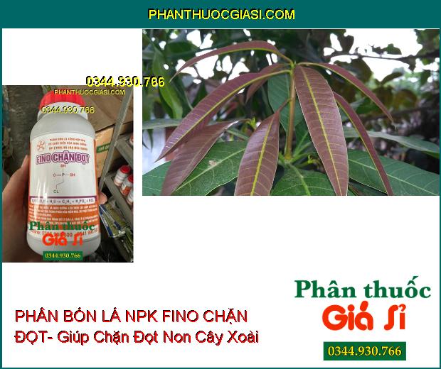 Sử dụng PHÂN BÓN LÁ NPK FINO CHẶN ĐỌT giúp chặn đọt xoài.