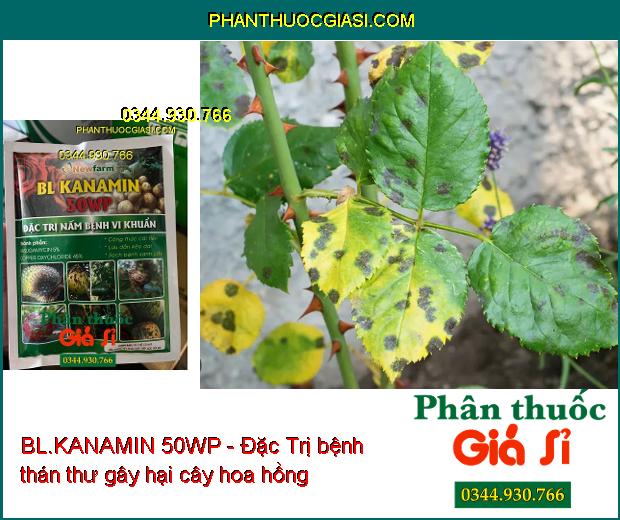 BL.KANAMIN 50WP - Đặc Trị  Nấm- Vi Khuẩn Gây Hại