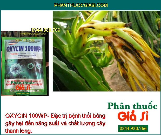 OXYCIN 100WP- Đặc Trị Bệnh Do Nấm và Vi Khuẩn gây hại