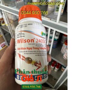 THUỐC TRỪ SÂU WILSON 240SC MŨI TÊN LỬA – Đặc Trị Nhện Đỏ Trên Cây Có Múi