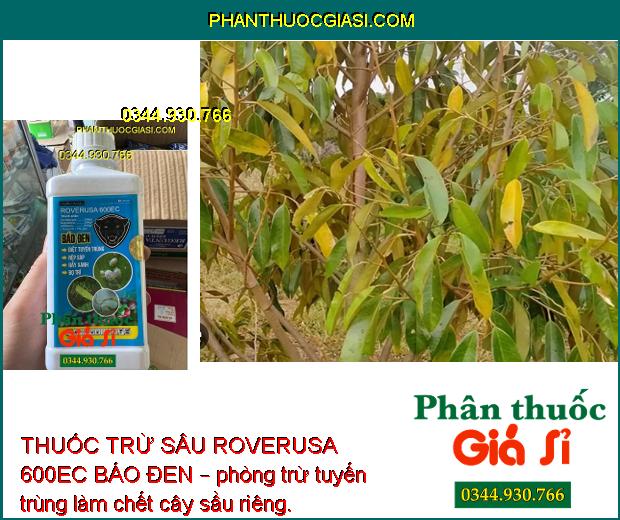 THUỐC TRỪ SÂU ROVERUSA 600EC BÁO ĐEN – Phòng Trừ Các Loại Sâu Rầy Gây Hại